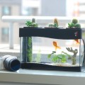 1450313312-mini-garden-aquarium-fish-tank-w-cactus-led-black-aquatic-world-ii-iecofun-1212-20-iecofun-13---copy